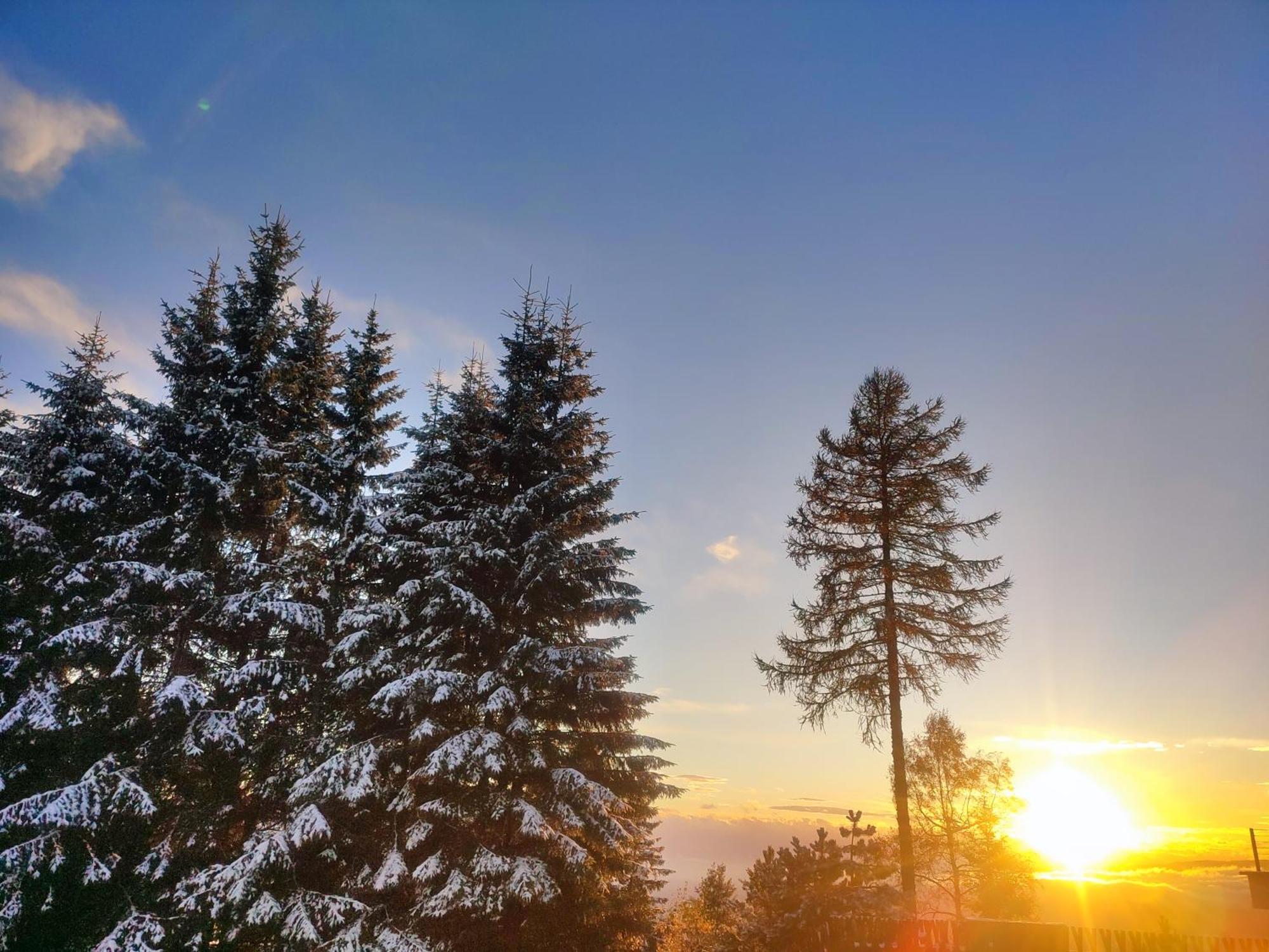 Nature Living Koralm - Neue Chalets Auf Der Koralpe Im Schi- Und Wanderparadies Sankt Stefan im Lavanttal Dış mekan fotoğraf