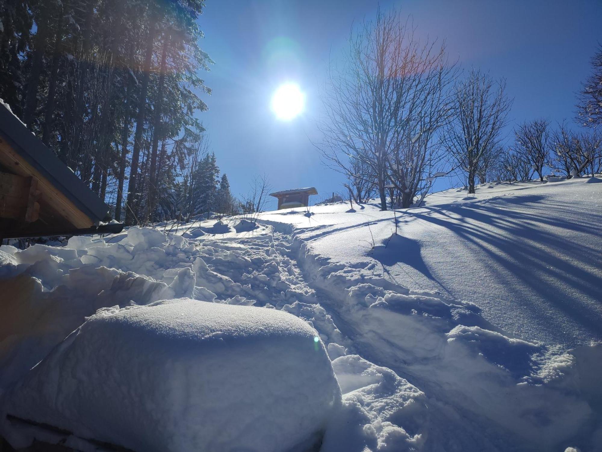 Nature Living Koralm - Neue Chalets Auf Der Koralpe Im Schi- Und Wanderparadies Sankt Stefan im Lavanttal Dış mekan fotoğraf